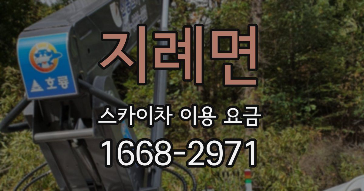 지례면 스카이차 이용 요금