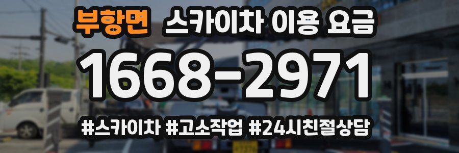 부항면 스카이차 이용 요금