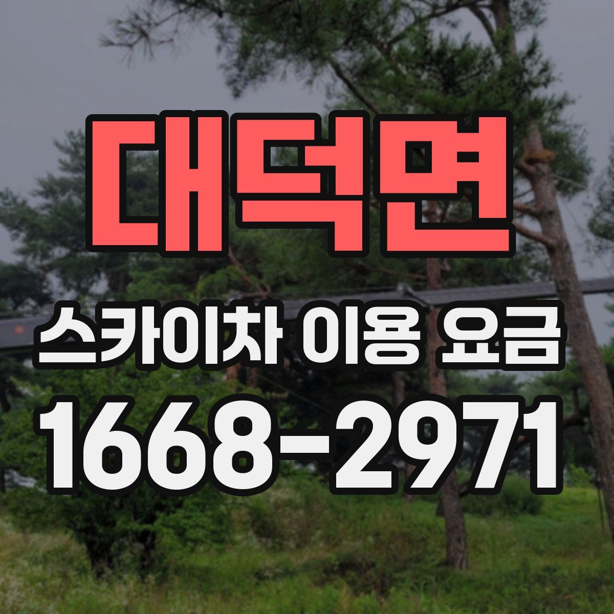 대덕면 스카이차 이용 요금