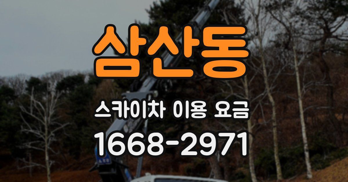 삼산동 스카이차 이용 요금