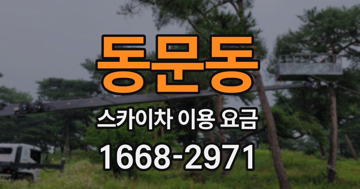동문동 스카이차 이용 요금