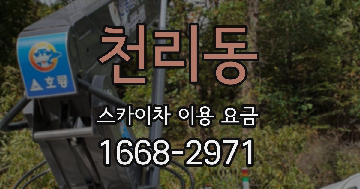 천리동 스카이차 이용 요금