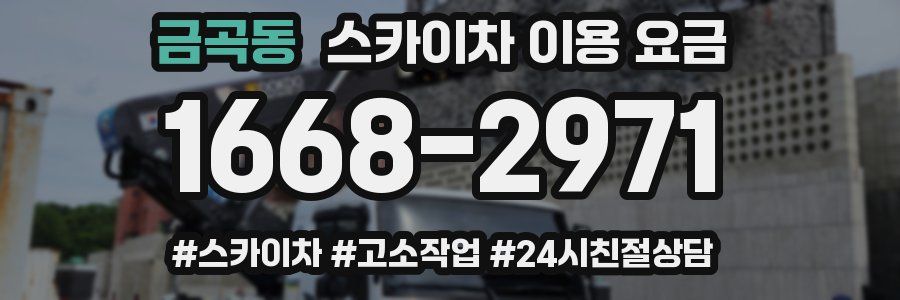 금곡동 스카이차 이용 요금
