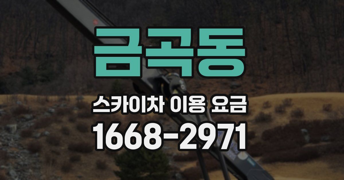 금곡동 스카이차 이용 요금