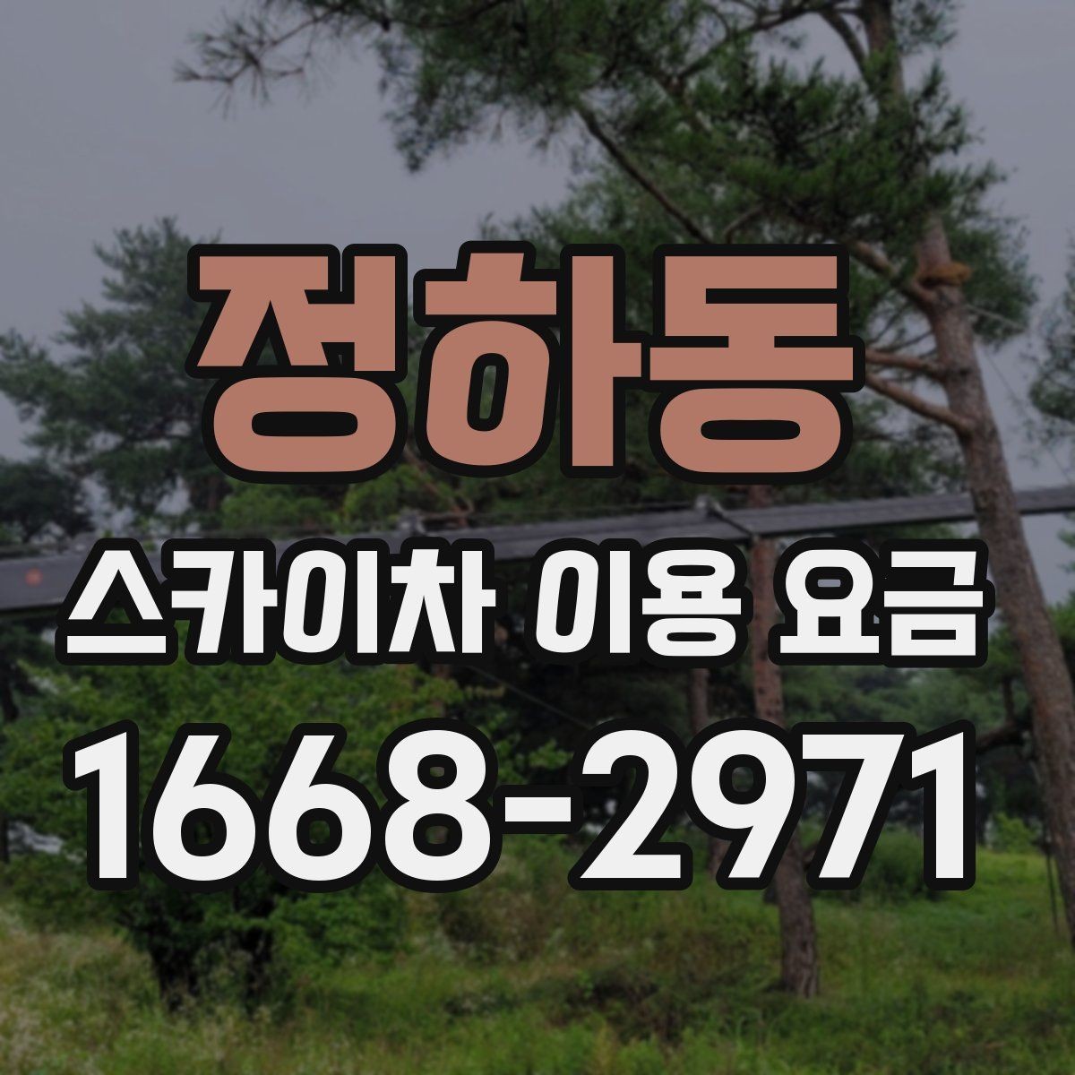 정하동 스카이차 이용 요금 알아보기, 문의 전 점검할 것