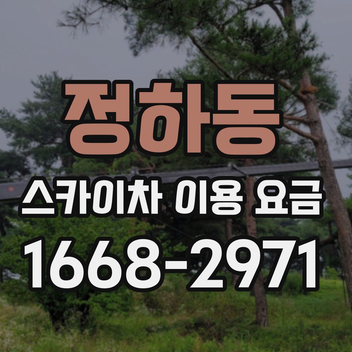 정하동 스카이차 이용 요금