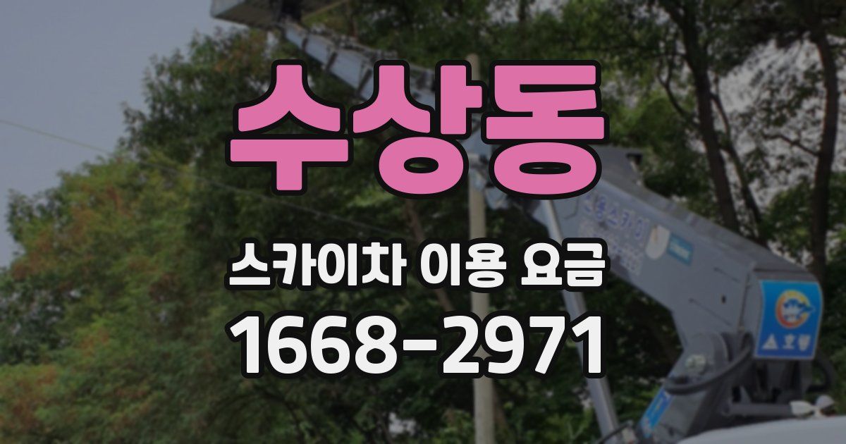 수상동 스카이차 이용 요금