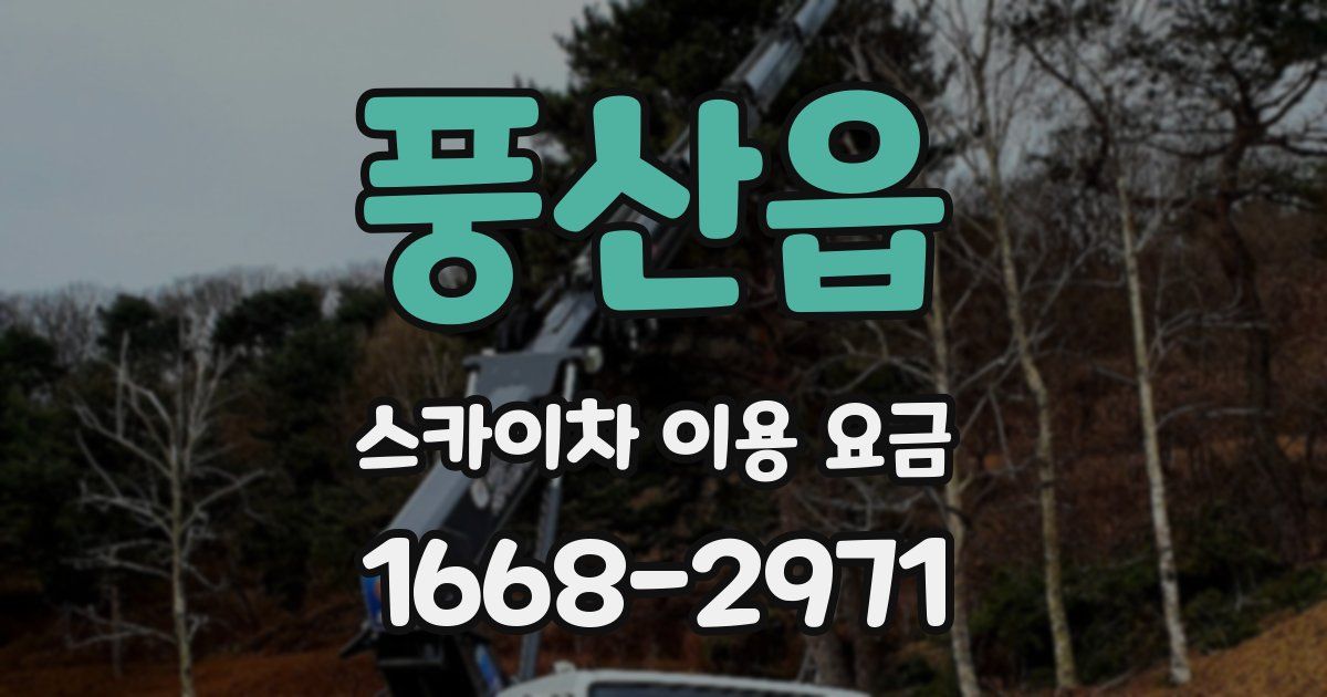 풍산읍 스카이차 이용 요금