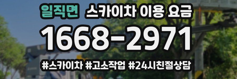 일직면 스카이차 이용 요금
