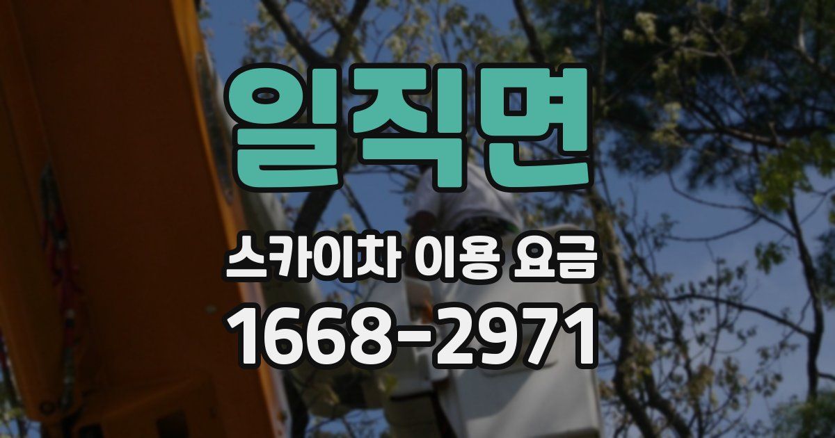 일직면 스카이차 이용 요금