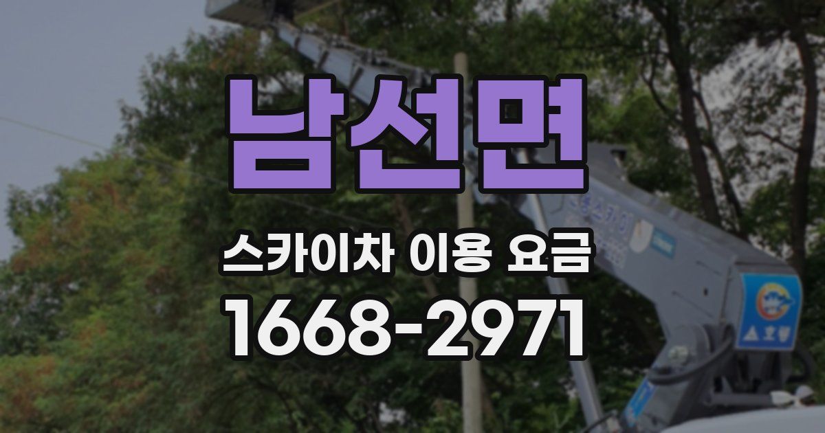 남선면 스카이차 이용 요금