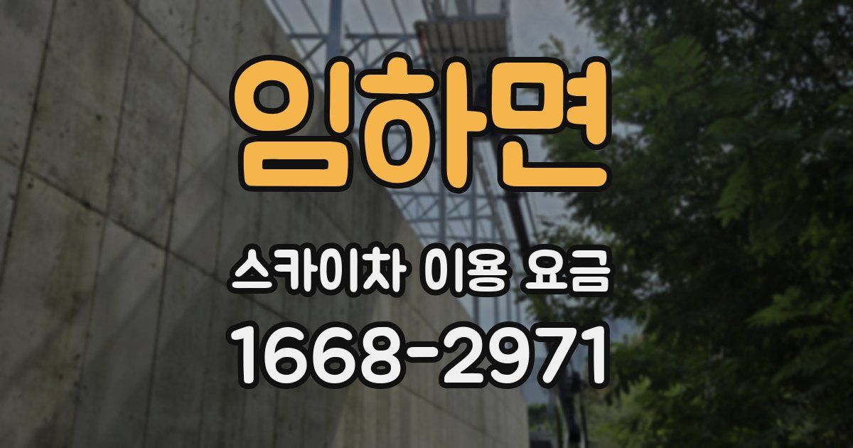 임하면 스카이차 이용 요금