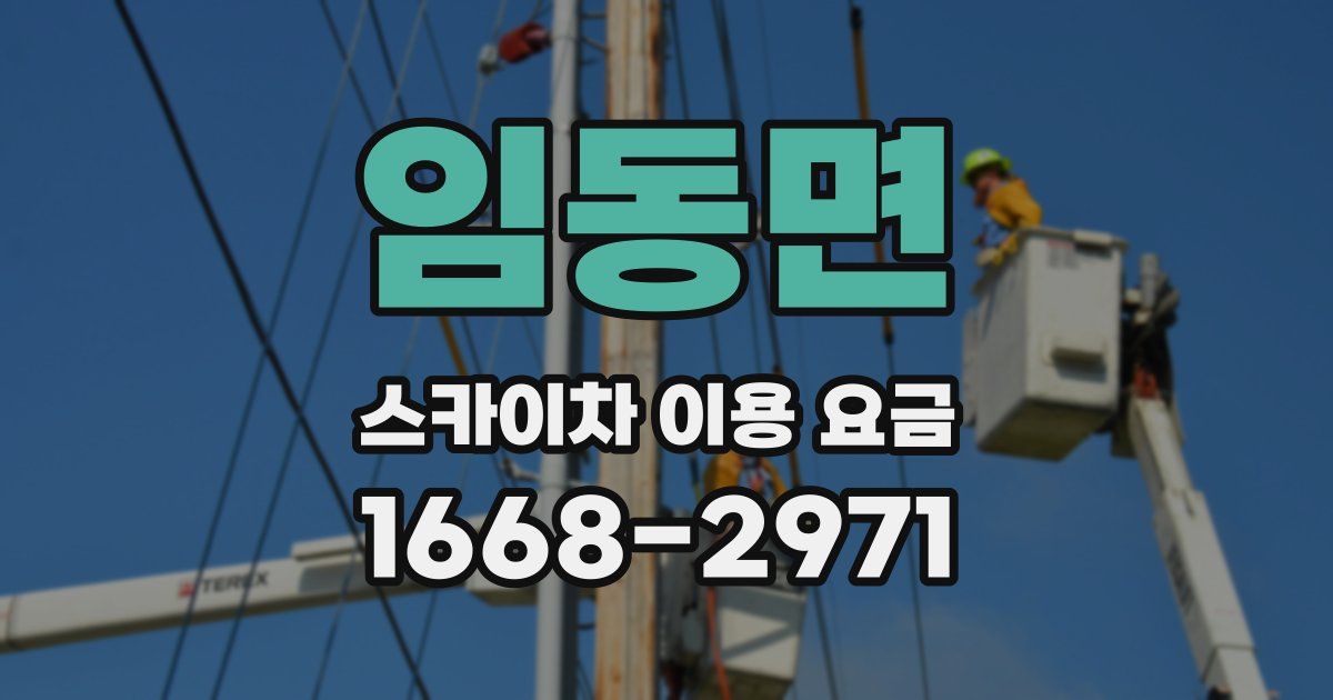임동면 스카이차 이용 요금