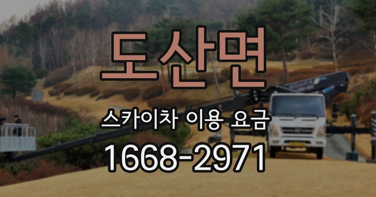 도산면 스카이차 이용 요금