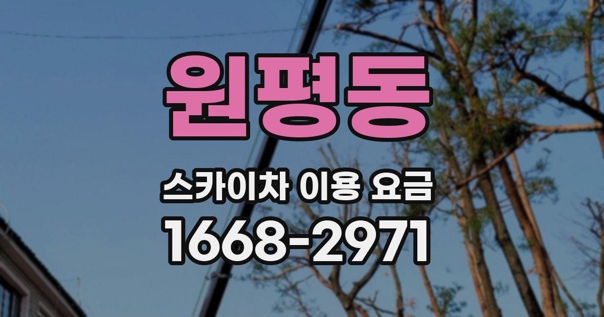 원평동 스카이차 이용 요금