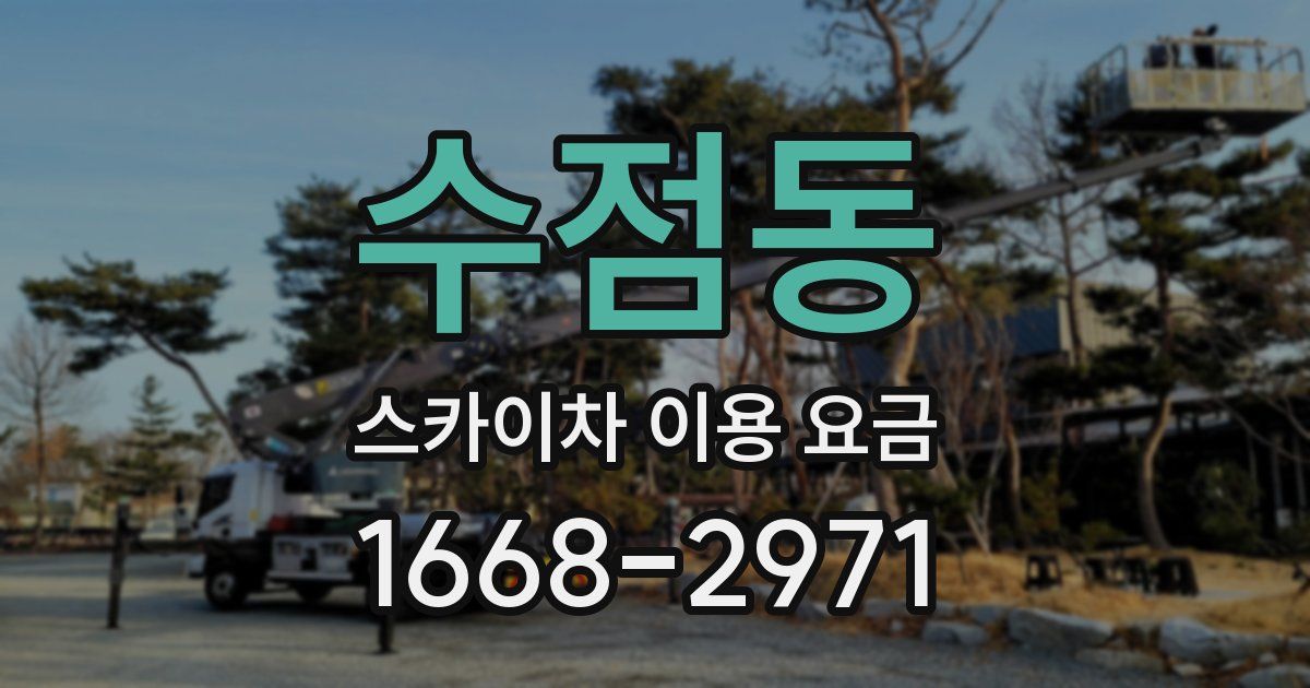 수점동 스카이차 이용 요금