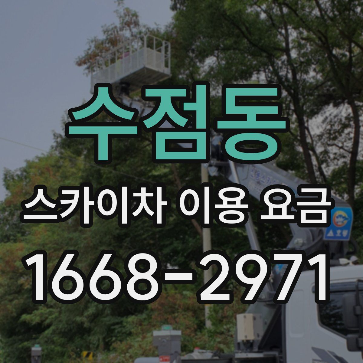 수점동 스카이차 이용 요금