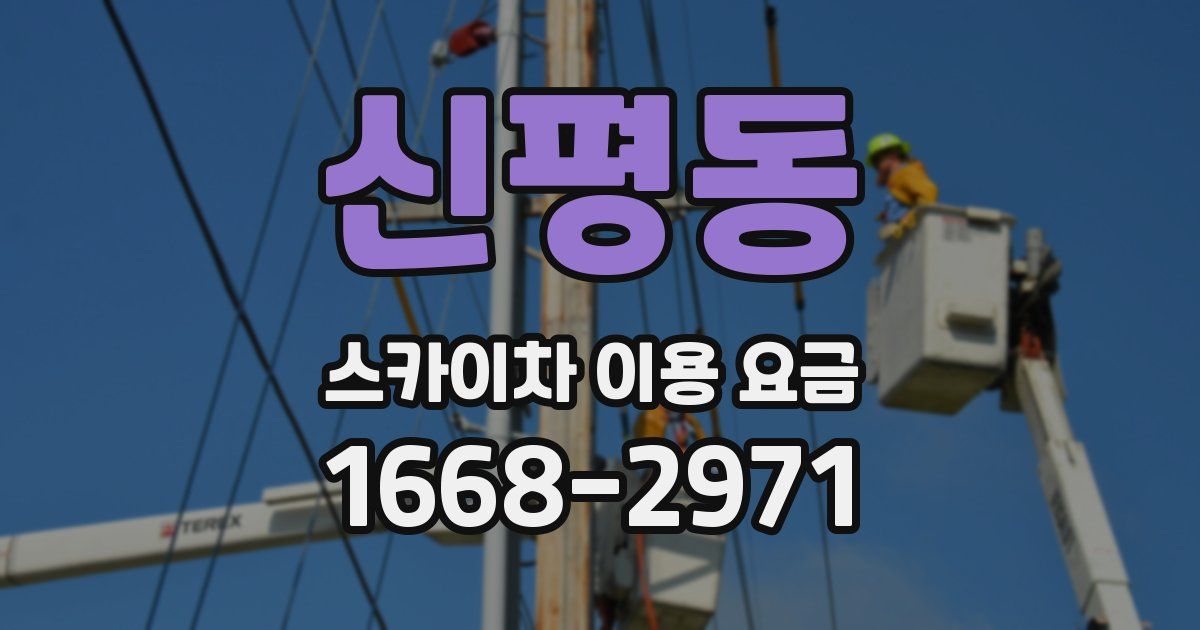 신평동 스카이차 이용 요금