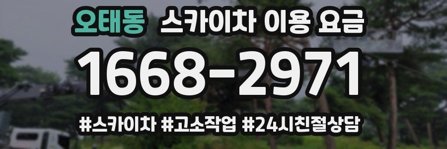 오태동 스카이차 이용 요금