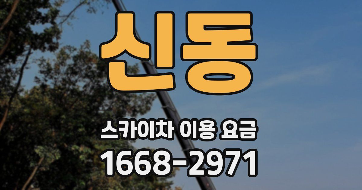 신동 스카이차 이용 요금