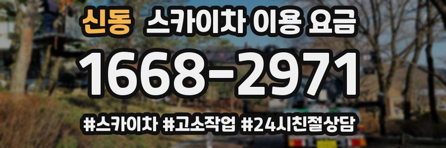 신동 스카이차 이용 요금