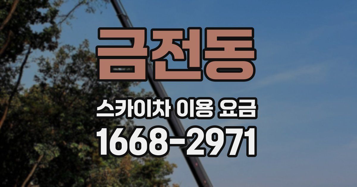 금전동 스카이차 이용 요금