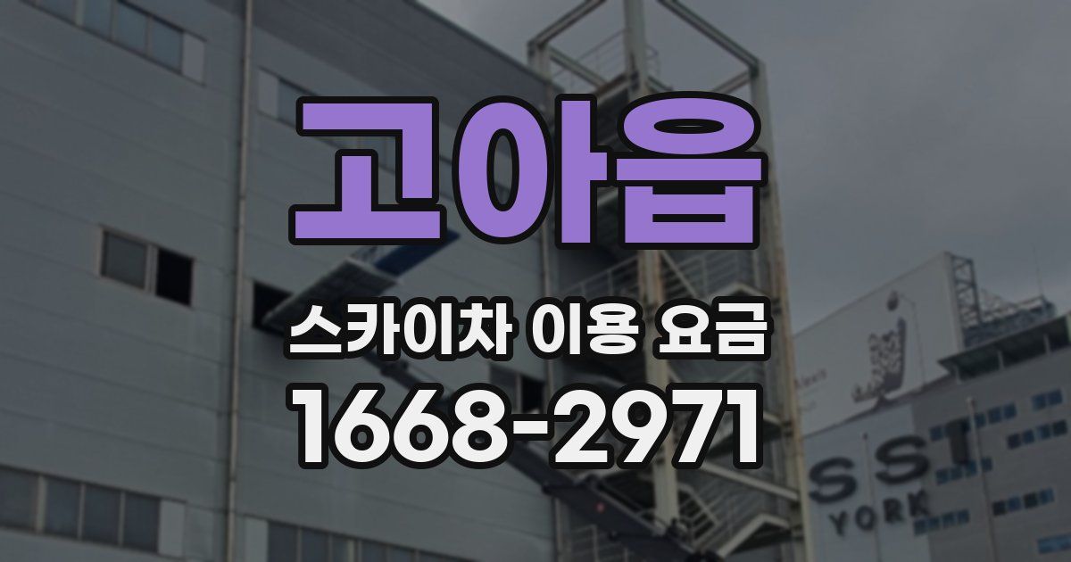 고아읍 스카이차 이용 요금