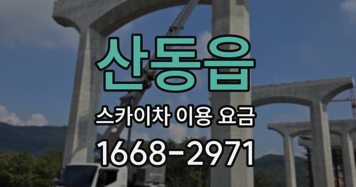 산동읍 스카이차 이용 요금