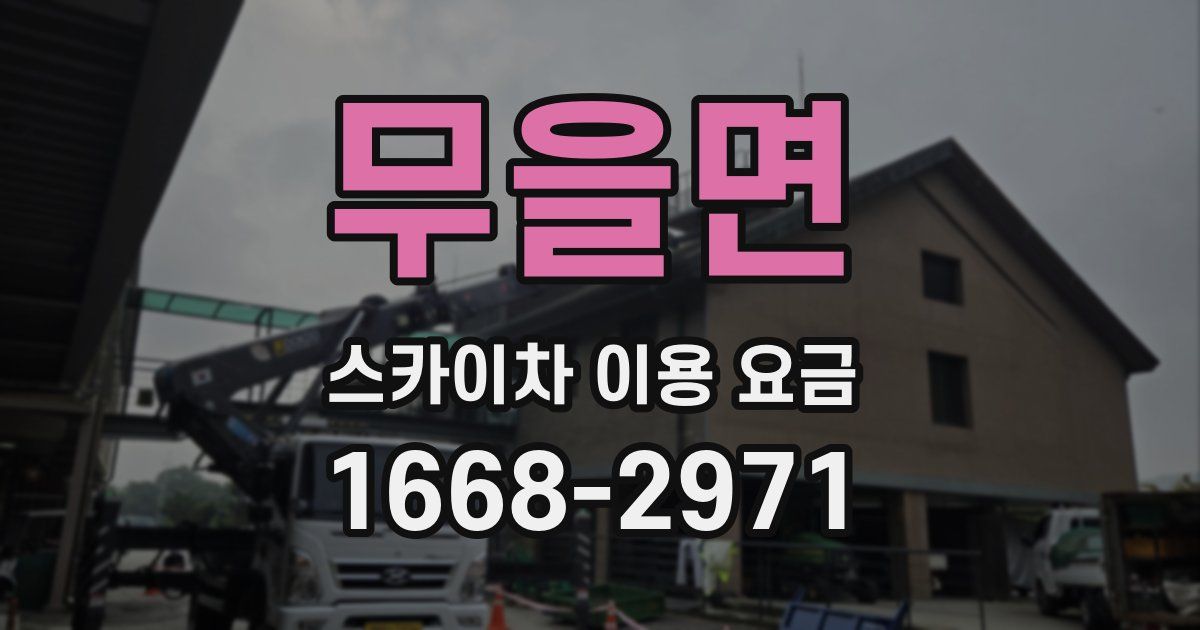 무을면 스카이차 이용 요금