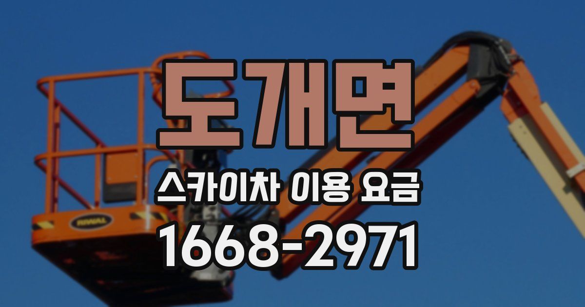 도개면 스카이차 이용 요금