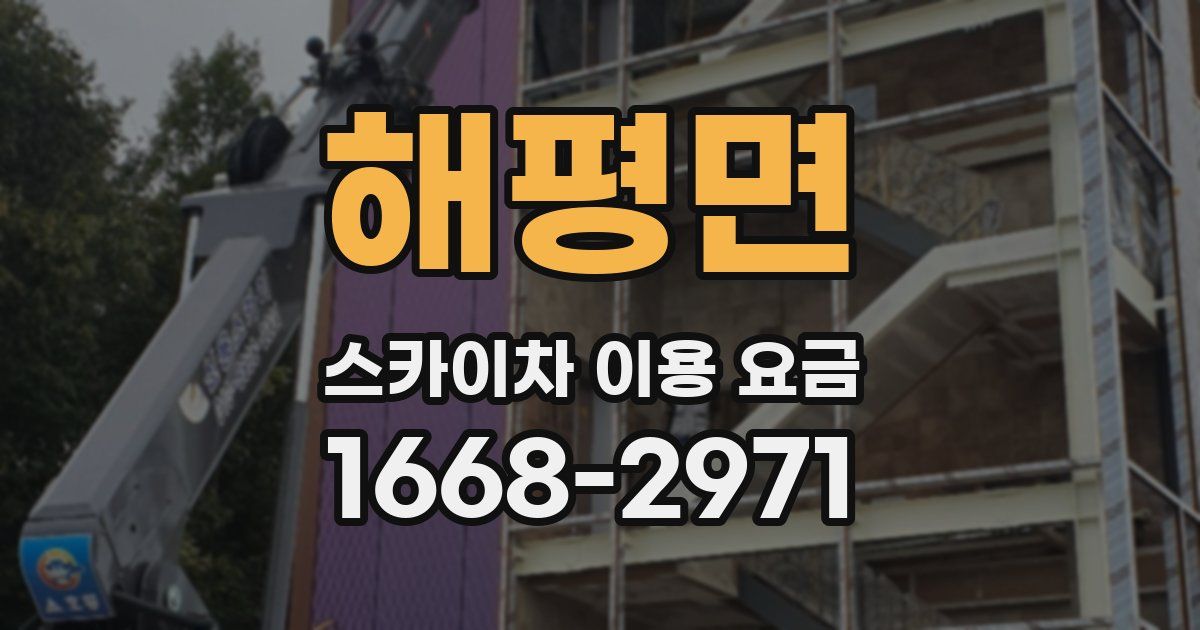 해평면 스카이차 이용 요금