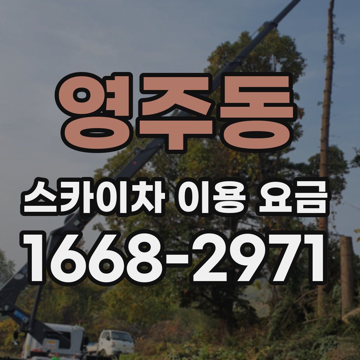 영주동 스카이차 이용 요금