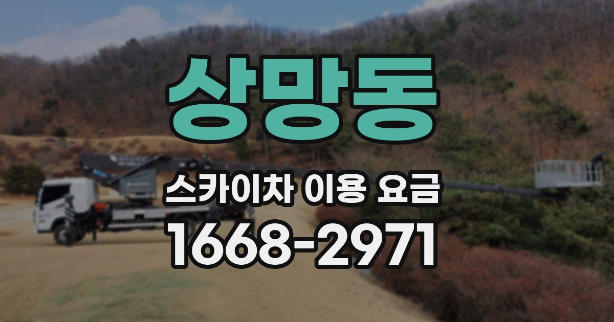 상망동 스카이차 이용 요금