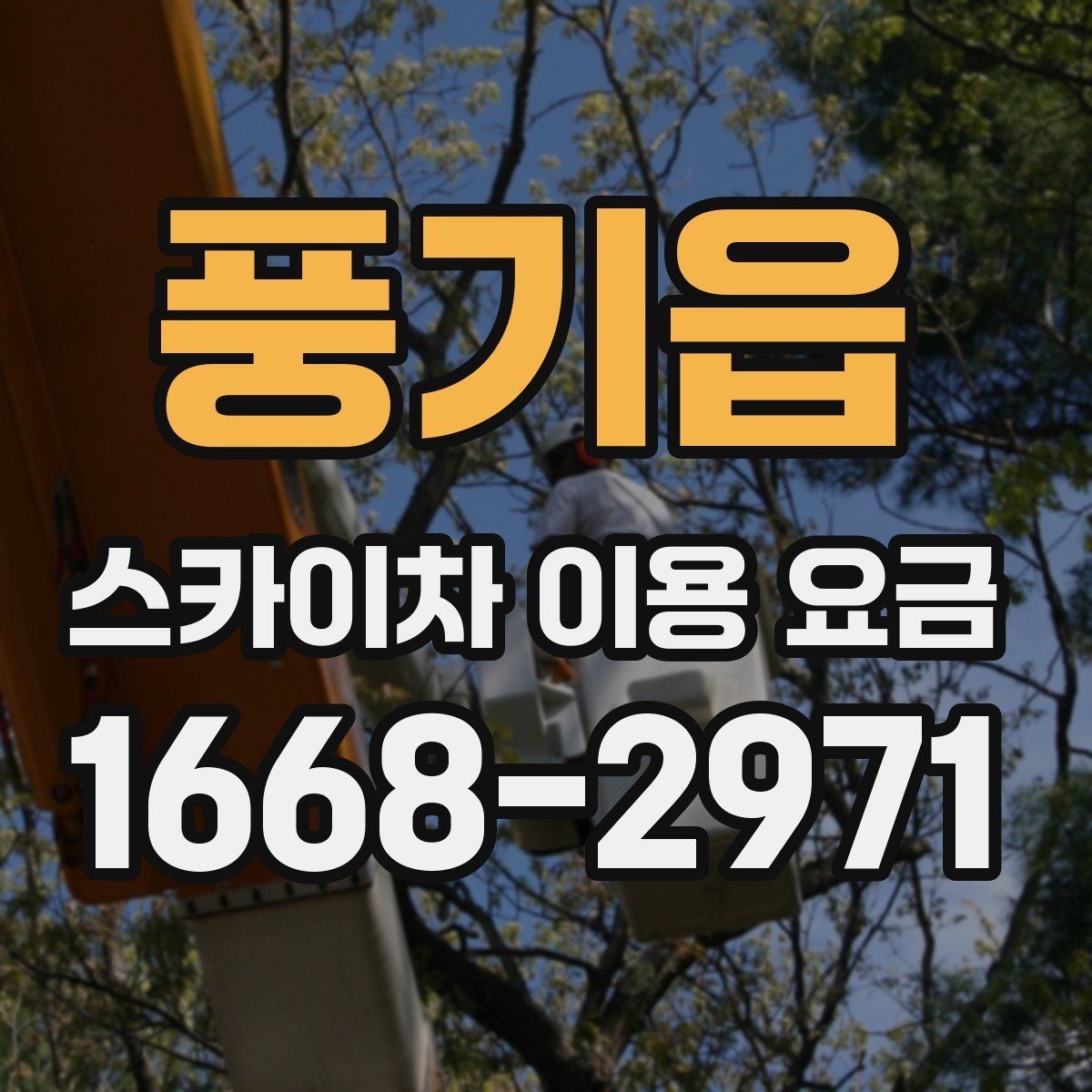 풍기읍 스카이차 이용 요금 안내와 비용 산정 기준