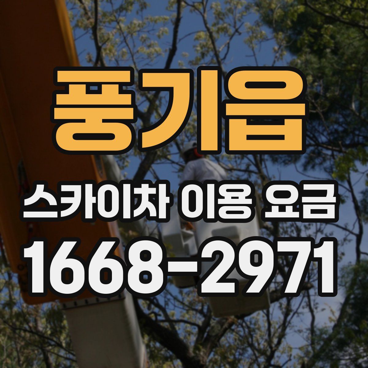 풍기읍 스카이차 이용 요금