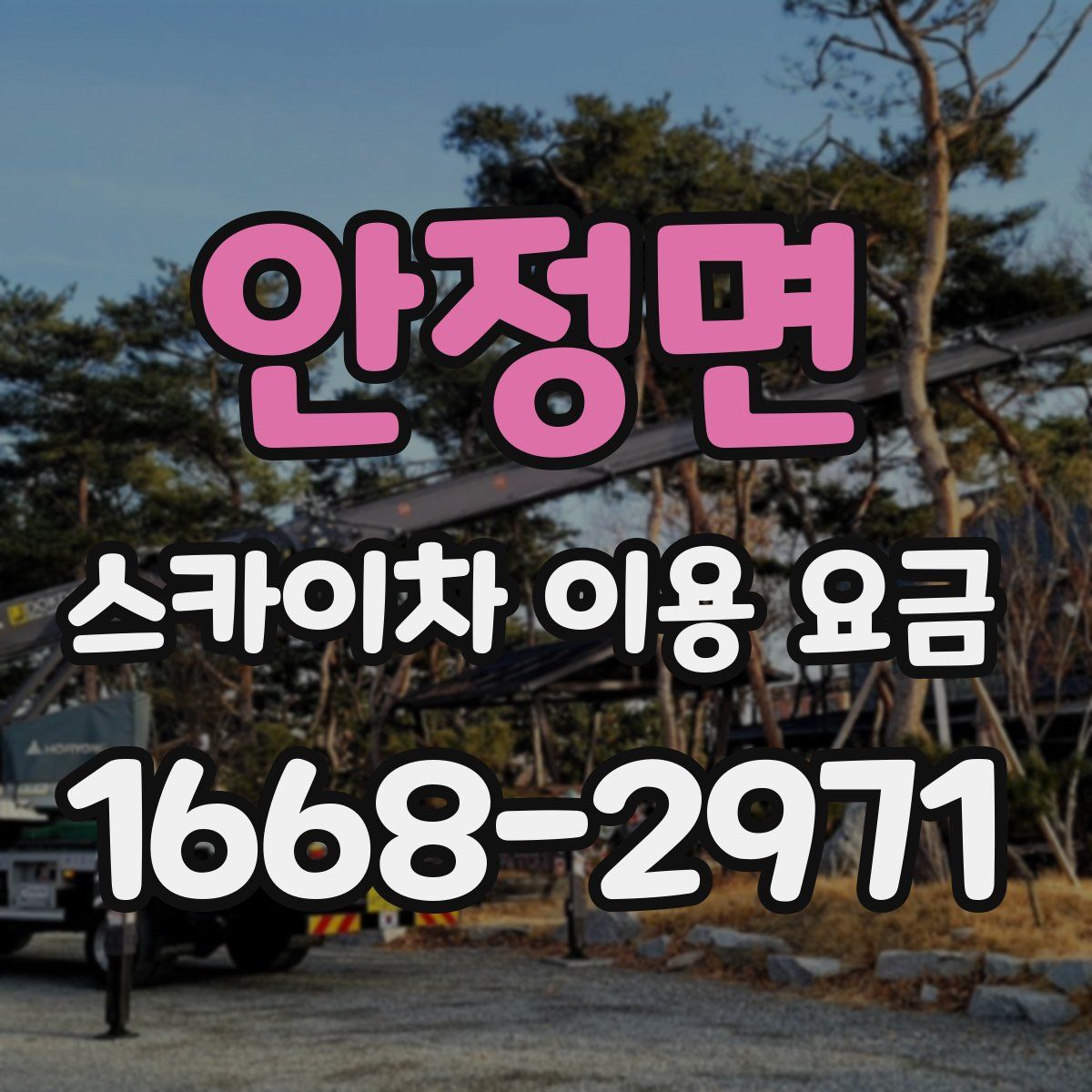 안정면 스카이차 이용 요금