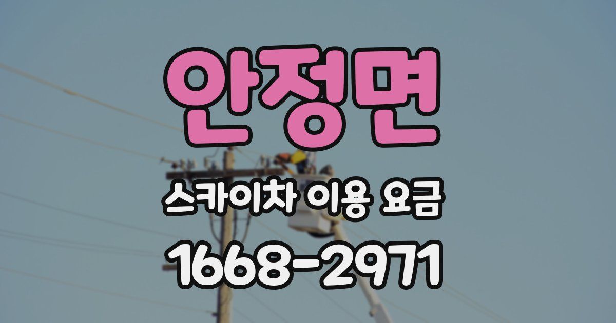 안정면 스카이차 이용 요금