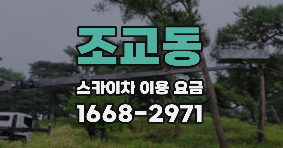 조교동 스카이차 이용 요금