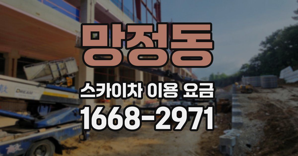 망정동 스카이차 이용 요금
