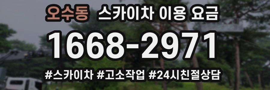 오수동 스카이차 이용 요금