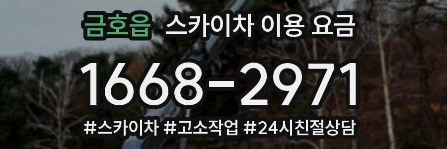 금호읍 스카이차 이용 요금