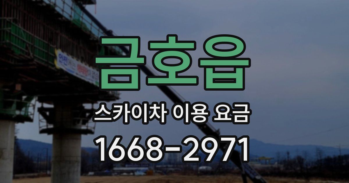 금호읍 스카이차 이용 요금