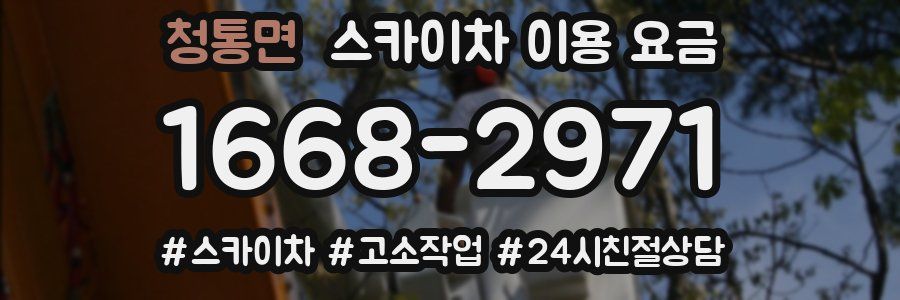 청통면 스카이차 이용 요금