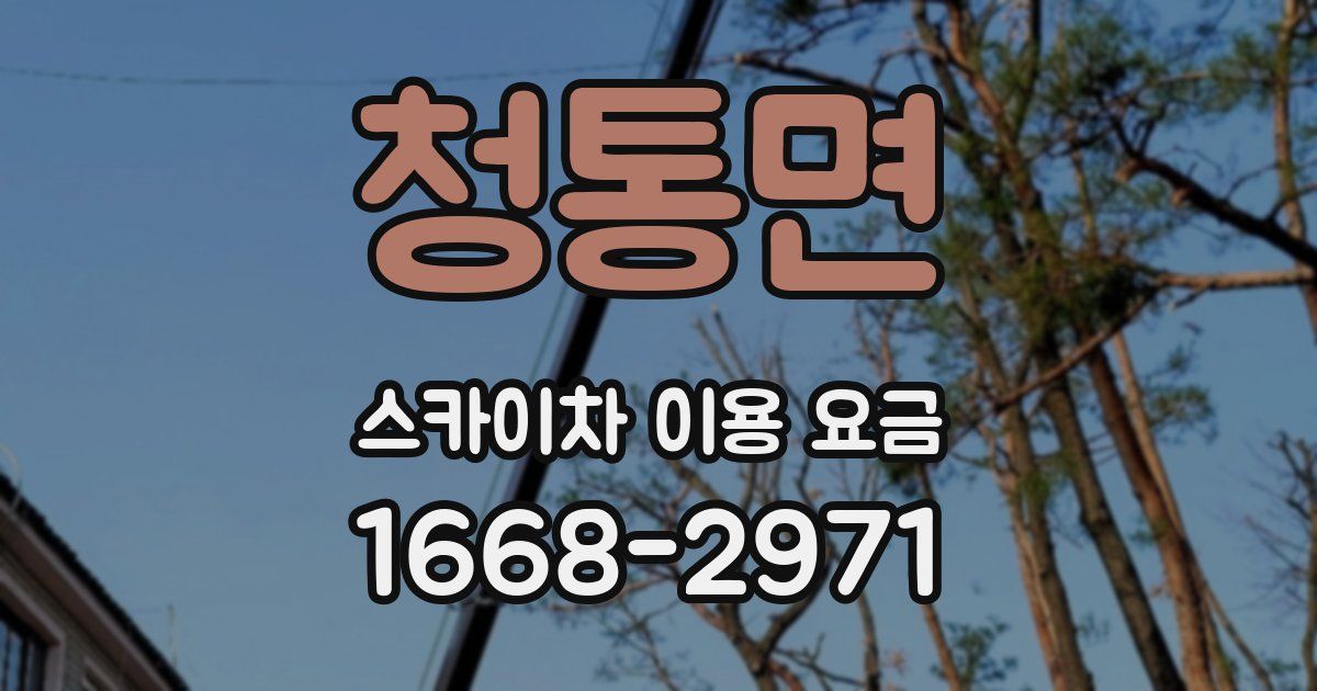 청통면 스카이차 이용 요금