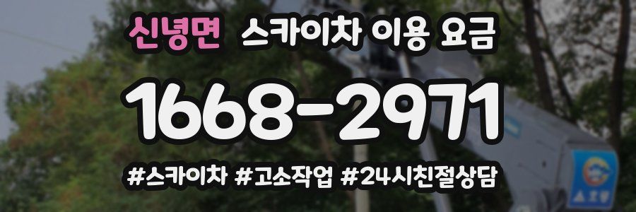 신녕면 스카이차 이용 요금