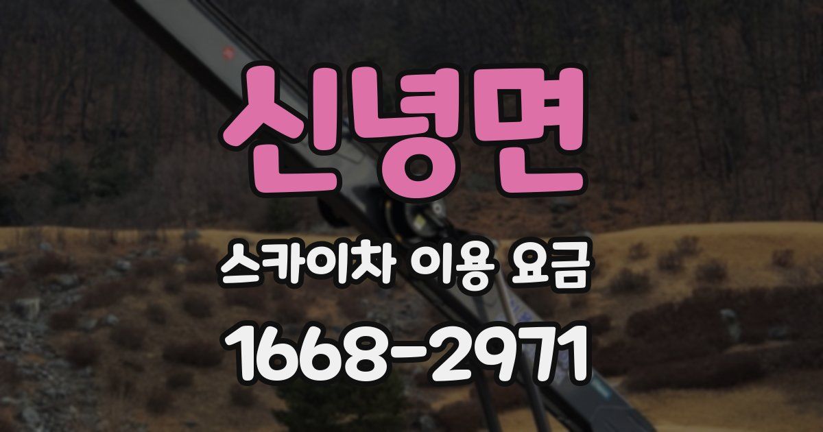 신녕면 스카이차 이용 요금