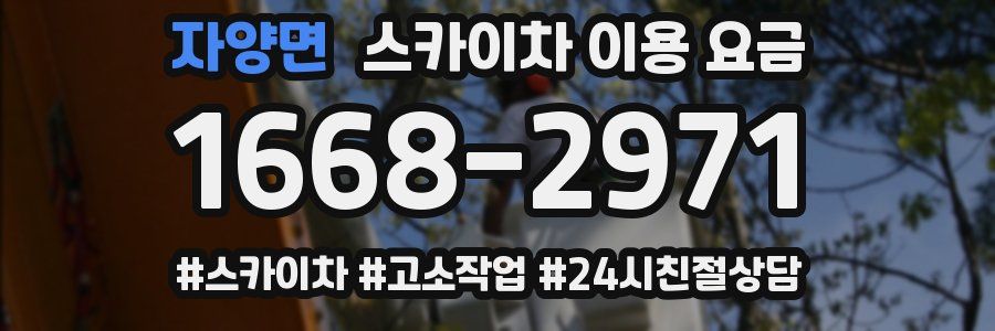 자양면 스카이차 이용 요금