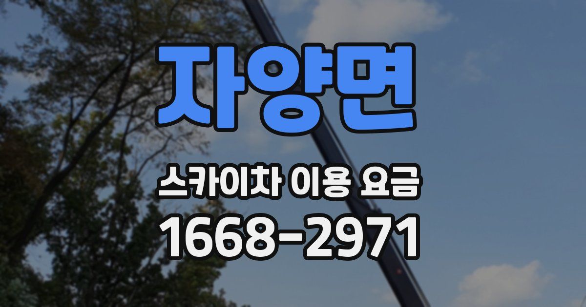 자양면 스카이차 이용 요금