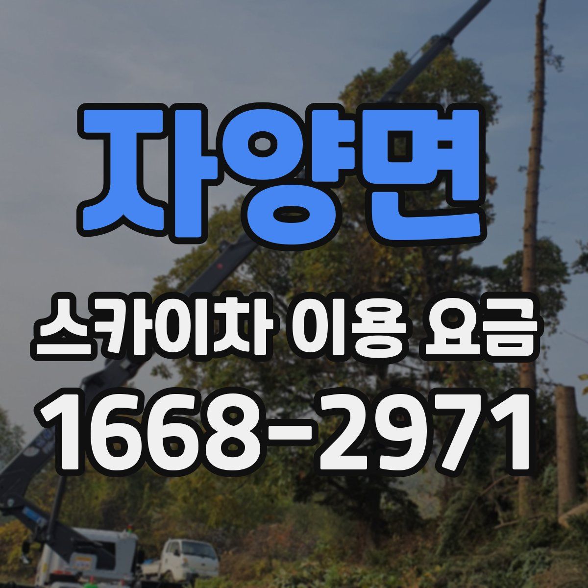 자양면 스카이차 이용 요금