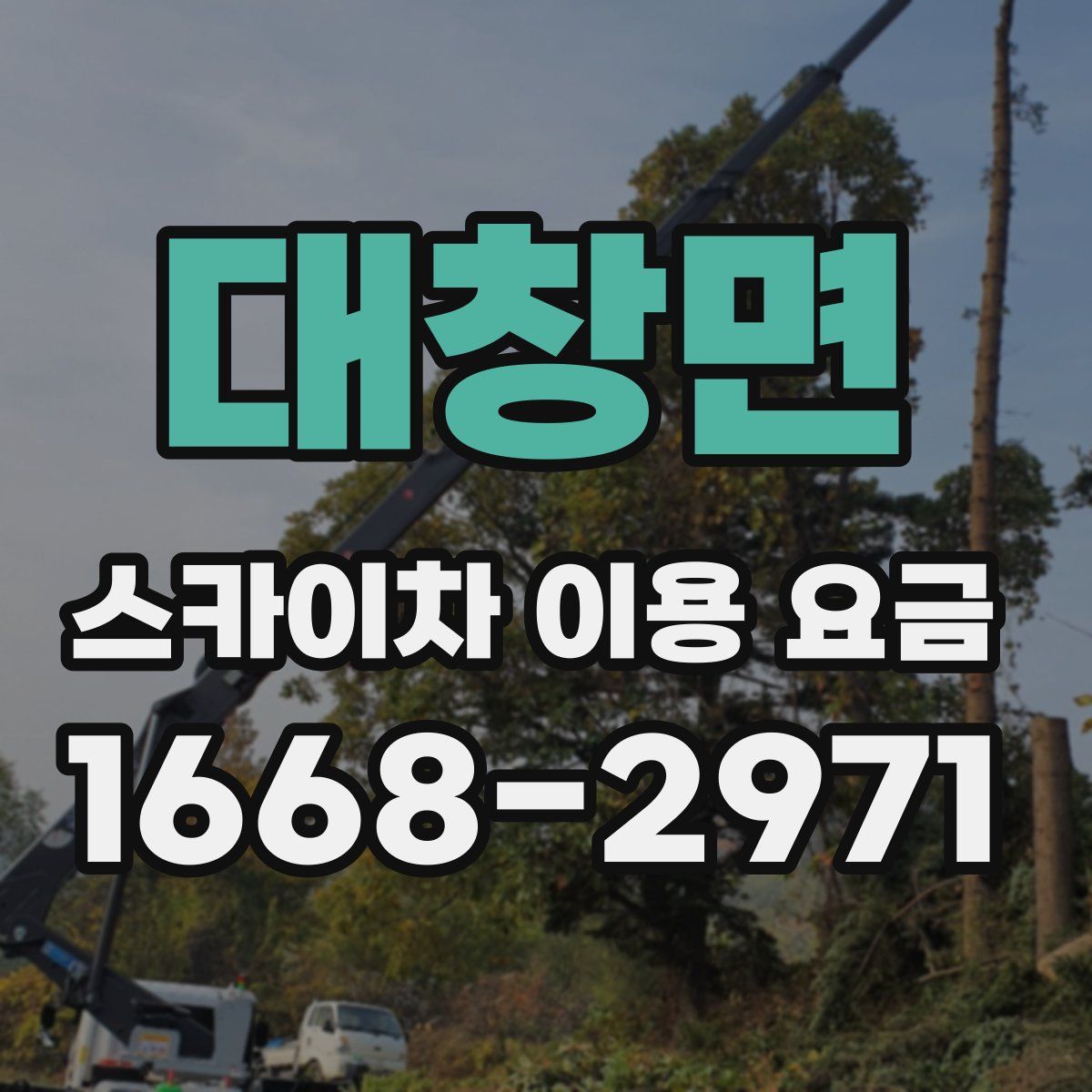 대창면 스카이차 이용 요금